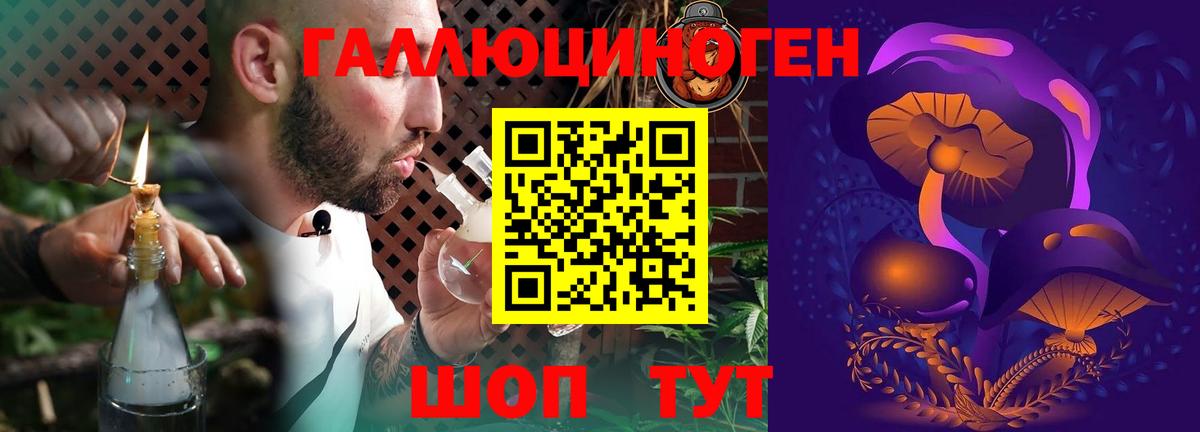 Псилоцибиновые грибы GOLDEN TEACHER Прокопьевск